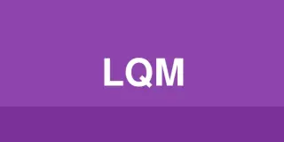 Lesch & Quitzon Law Group